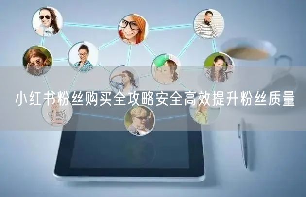 小红书粉丝购买全攻略安全高效提升粉丝质量