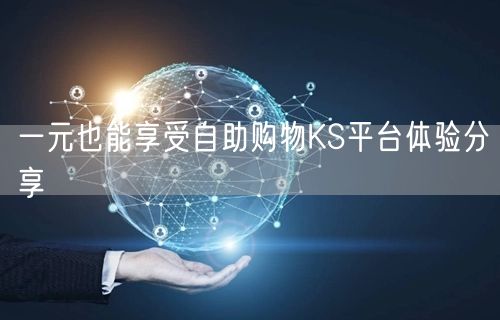 一元也能享受自助购物KS平台体验分享