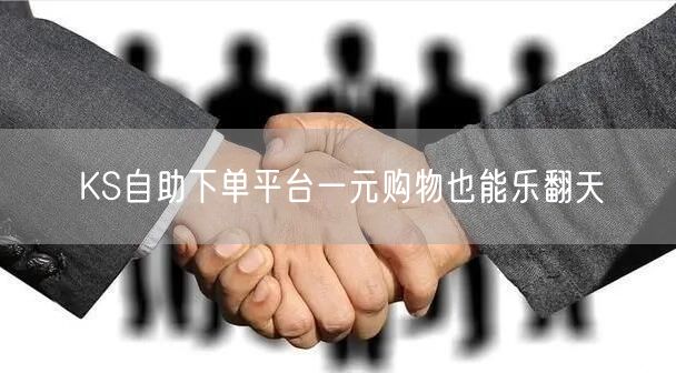 KS自助下单平台一元购物也能乐翻天