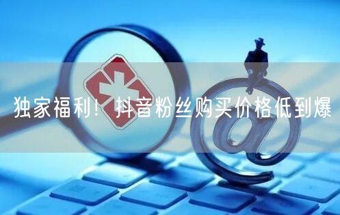 独家福利！抖音粉丝购买价格低到爆