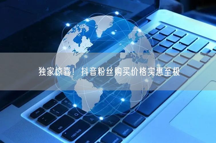 独家惊喜！抖音粉丝购买价格实惠至极
