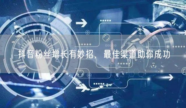 抖音粉丝增长有妙招，最佳渠道助你成功