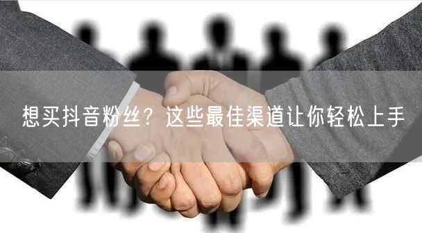 想买抖音粉丝？这些最佳渠道让你轻松上手